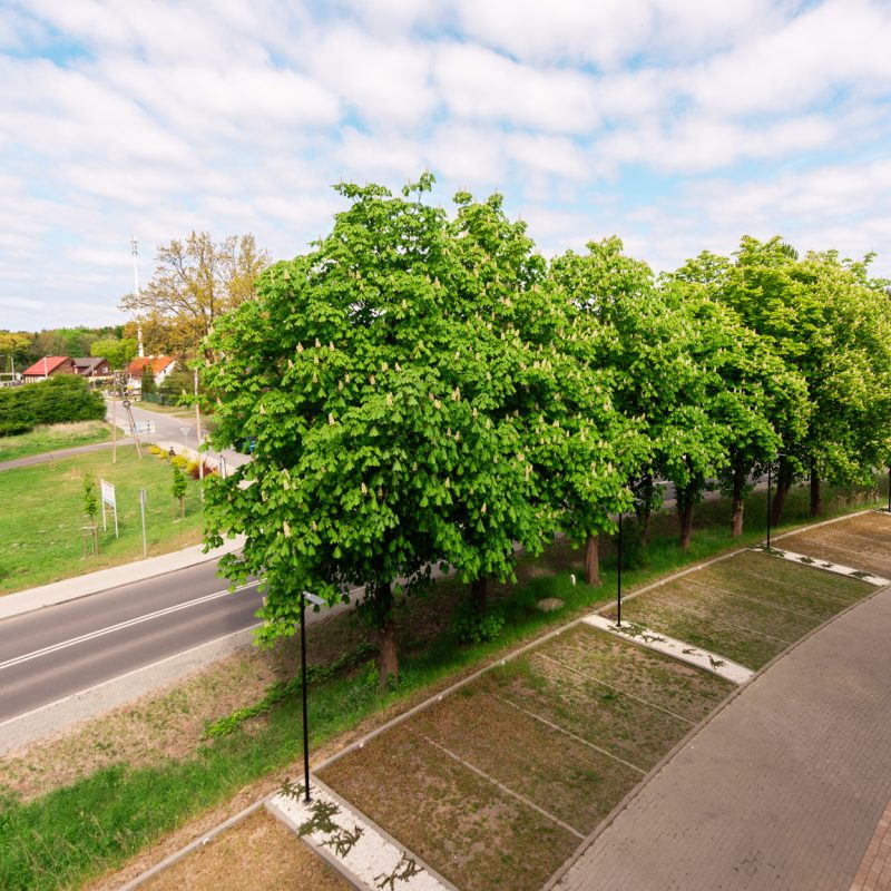 Sztutowo / Perła Mierzei 51 (12)
